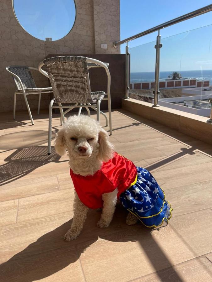 El Faro Hotel Chala Kültér fotó